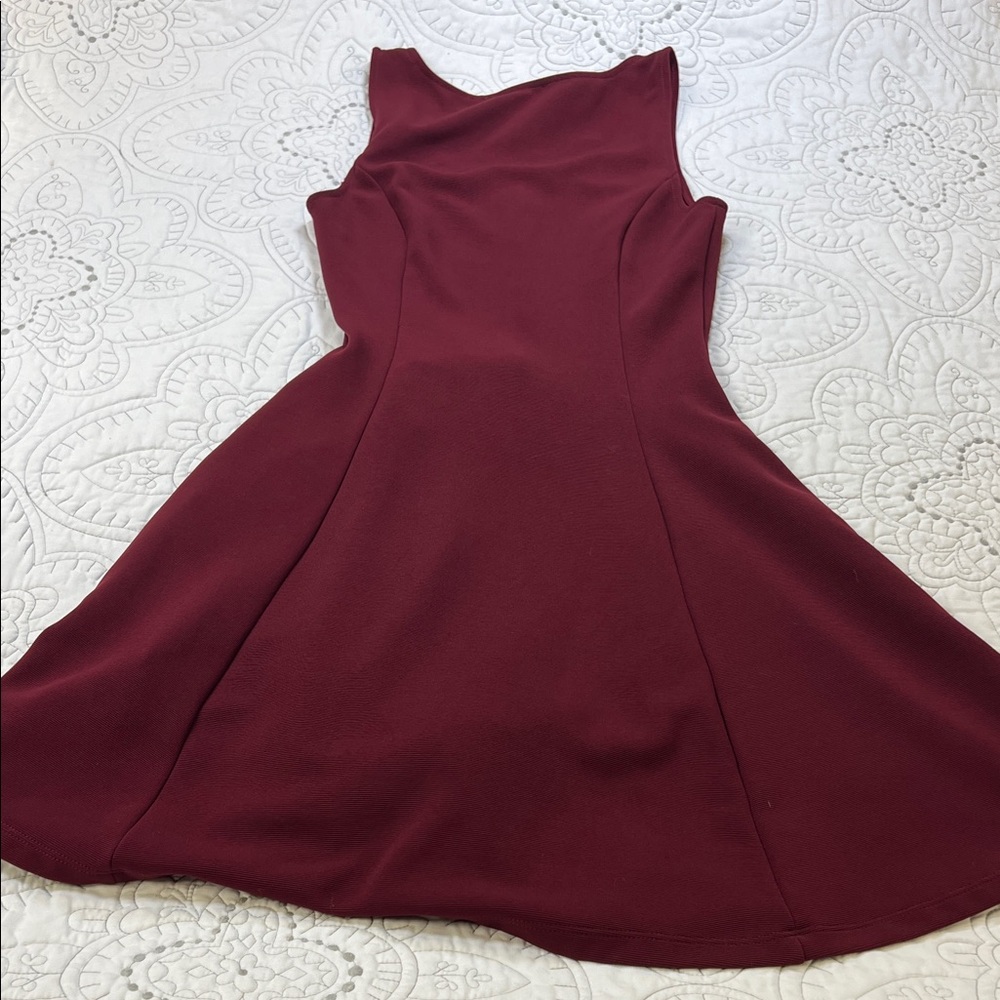 Everly Burgundy Sleeveless Fit and Flare Mini Dress - Small - Picture 4 of 8